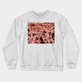 Kidney blood vessels, SEM (C022/7915) Crewneck Sweatshirt